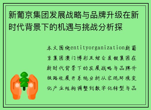 新葡京集团发展战略与品牌升级在新时代背景下的机遇与挑战分析探