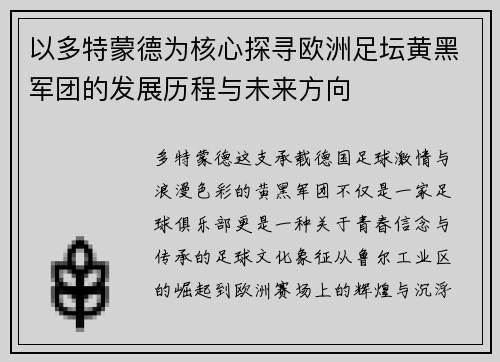 以多特蒙德为核心探寻欧洲足坛黄黑军团的发展历程与未来方向